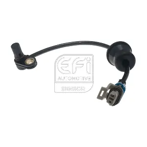 302452 EFI AUTOMOTIVE