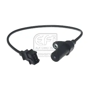 303461 EFI AUTOMOTIVE