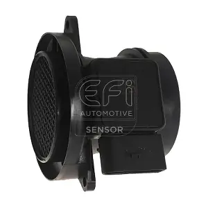 305001 EFI AUTOMOTIVE
