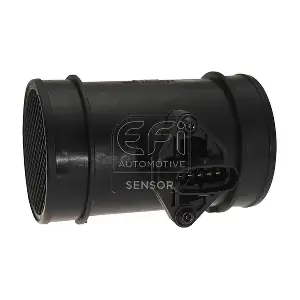 EFI AUTOMOTIVE 305149