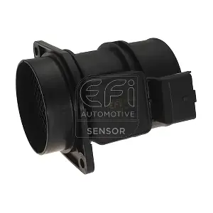 EFI AUTOMOTIVE 305042
