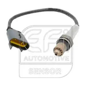 EFI AUTOMOTIVE 301651