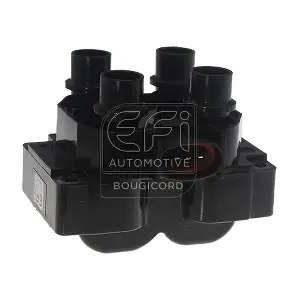 EFI AUTOMOTIVE 155011