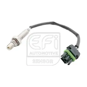 301317 EFI AUTOMOTIVE