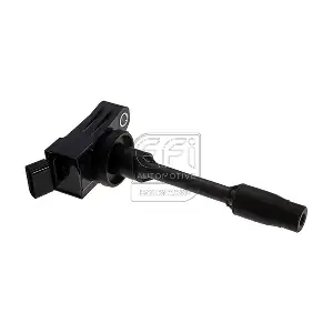 155559 EFI AUTOMOTIVE
