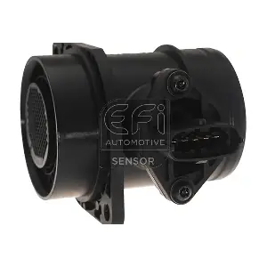 305031 EFI AUTOMOTIVE