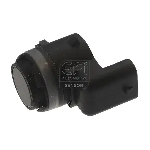 306045 EFI AUTOMOTIVE