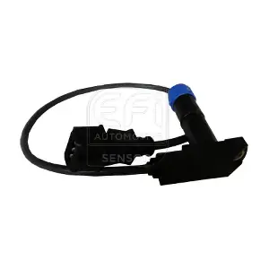 303194 EFI AUTOMOTIVE