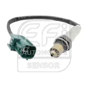 301639 EFI AUTOMOTIVE