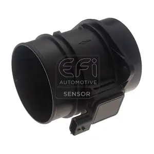 305190 EFI AUTOMOTIVE