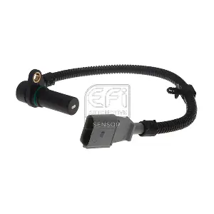 303502 EFI AUTOMOTIVE