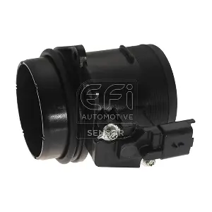 305072 EFI AUTOMOTIVE