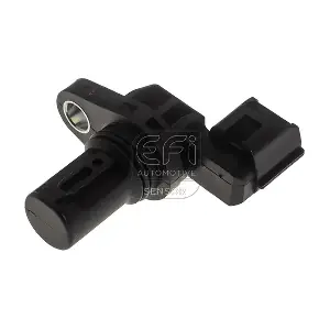 303478 EFI AUTOMOTIVE