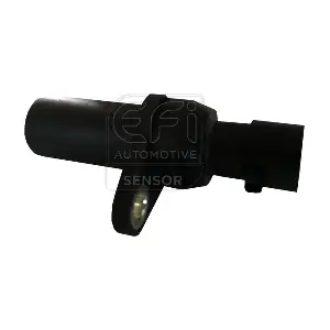EFI AUTOMOTIVE 303182
