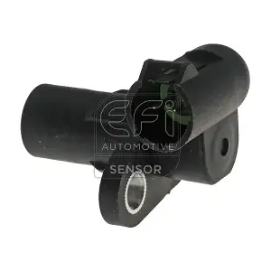 EFI AUTOMOTIVE 303170