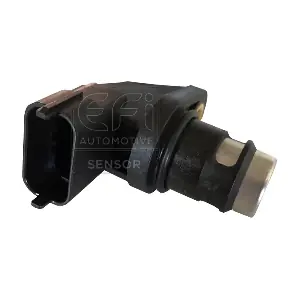 EFI AUTOMOTIVE 303213