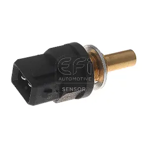 295123 EFI AUTOMOTIVE