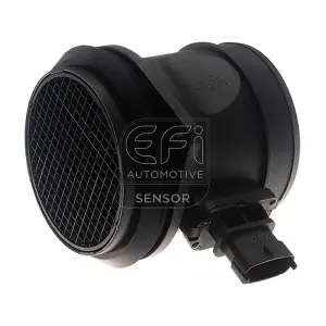 305175 EFI AUTOMOTIVE