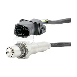 301117 EFI AUTOMOTIVE