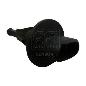 295049 EFI AUTOMOTIVE