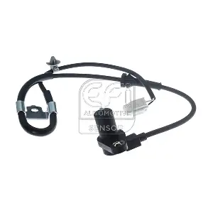 302417 EFI AUTOMOTIVE