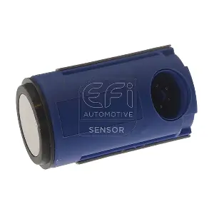306031 EFI AUTOMOTIVE