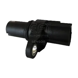 EFI AUTOMOTIVE 303265