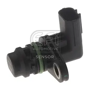 303492 EFI AUTOMOTIVE