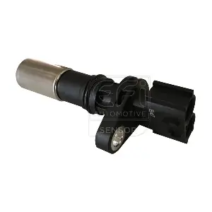 EFI AUTOMOTIVE 303210