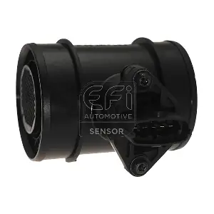 EFI AUTOMOTIVE 305124