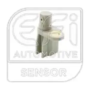 302525 EFI AUTOMOTIVE