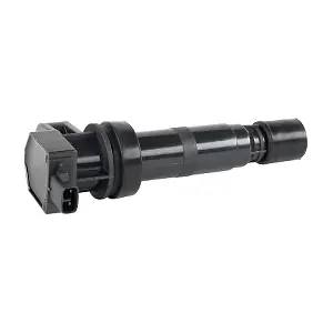 EFI AUTOMOTIVE 155244