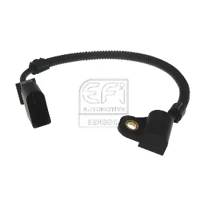 303152 EFI AUTOMOTIVE