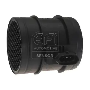 305066 EFI AUTOMOTIVE