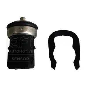 295175 EFI AUTOMOTIVE