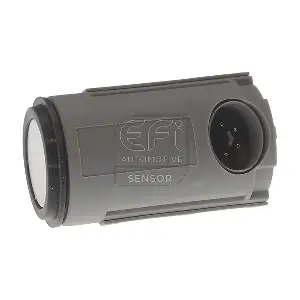 306069 EFI AUTOMOTIVE