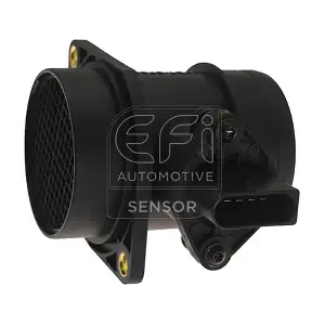 305087 EFI AUTOMOTIVE