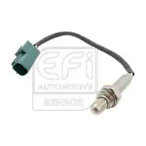 301584 EFI AUTOMOTIVE