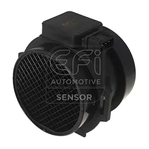 EFI AUTOMOTIVE 305117