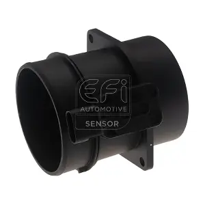 305176 EFI AUTOMOTIVE