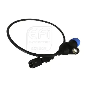 303006 EFI AUTOMOTIVE