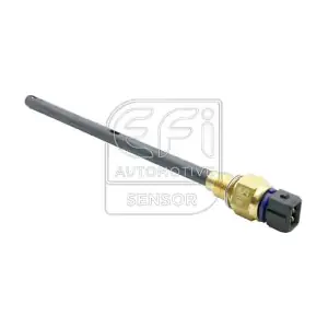 296044 EFI AUTOMOTIVE
