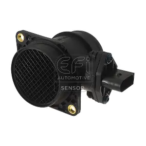 305081 EFI AUTOMOTIVE
