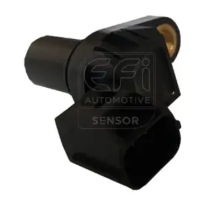 303327 EFI AUTOMOTIVE