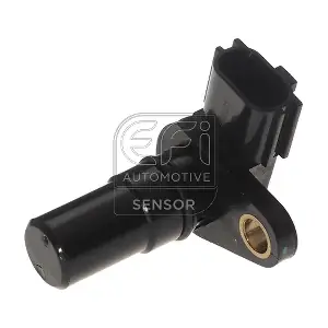303495 EFI AUTOMOTIVE
