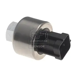 1473819 EFI AUTOMOTIVE