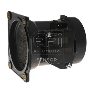 305059 EFI AUTOMOTIVE