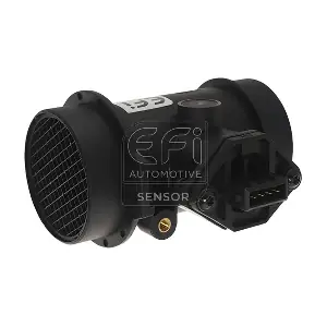 EFI AUTOMOTIVE 305006