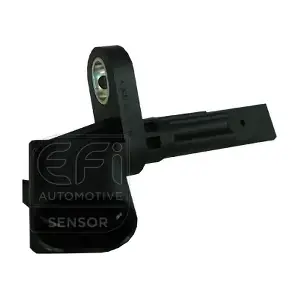 302089 EFI AUTOMOTIVE