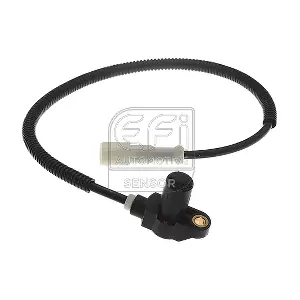 EFI AUTOMOTIVE 302362